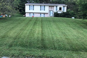 Grass cutting in lawn care